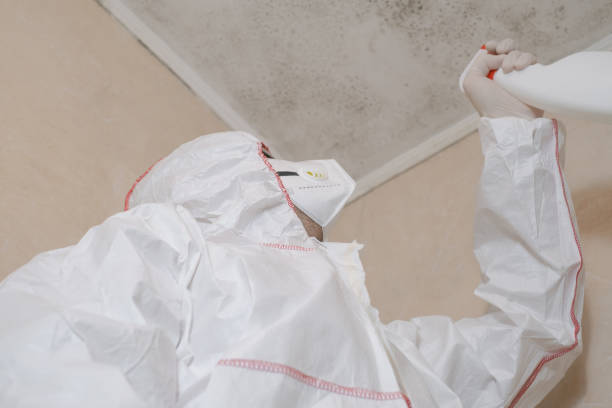 Best Mold Remediation for Schools in Lyndhurst, VA